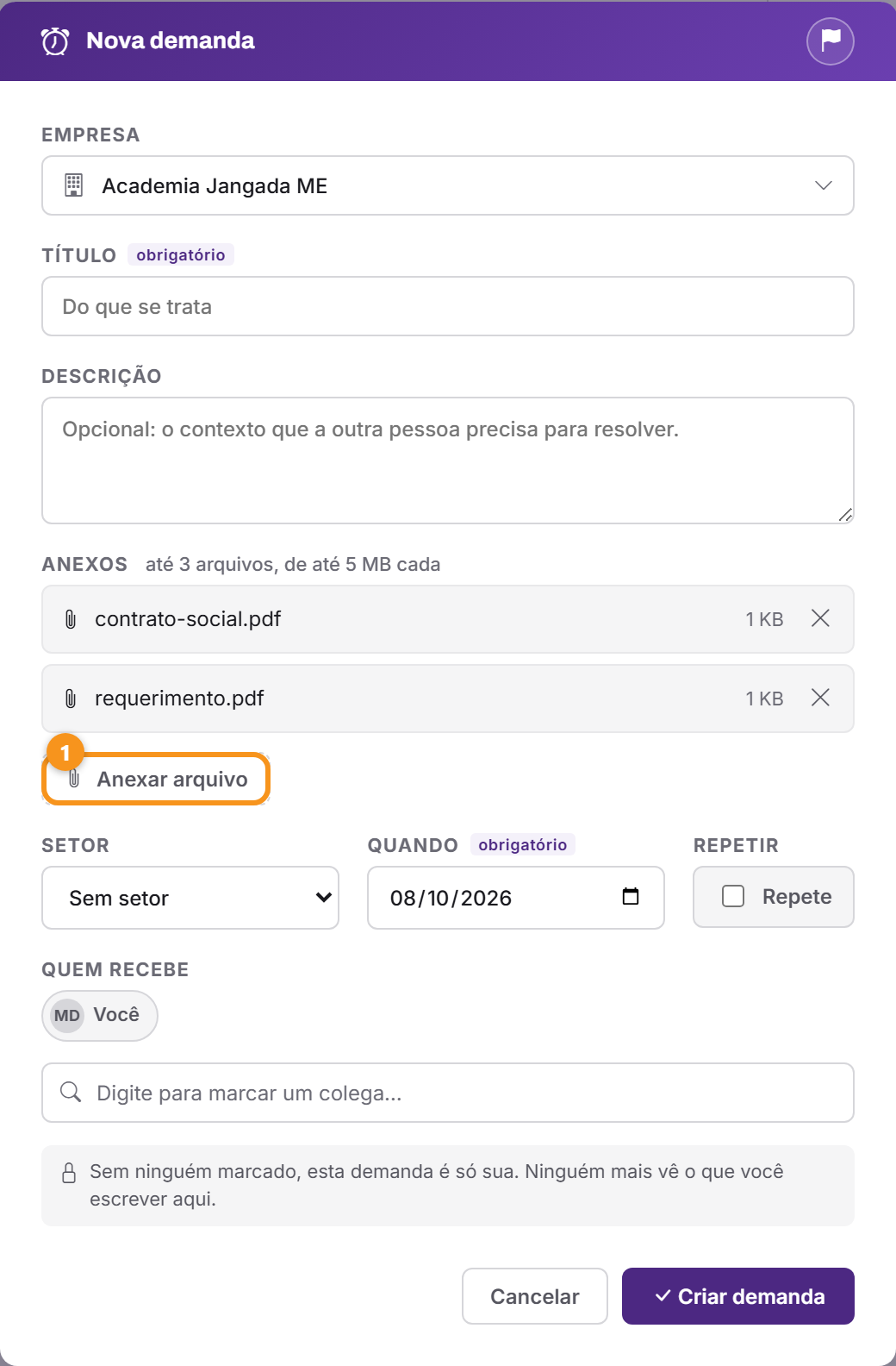 Os anexos escolhidos antes de criar a demanda.