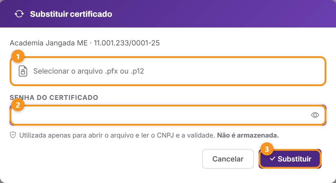 A janela de substituição: o arquivo novo e a senha dele.